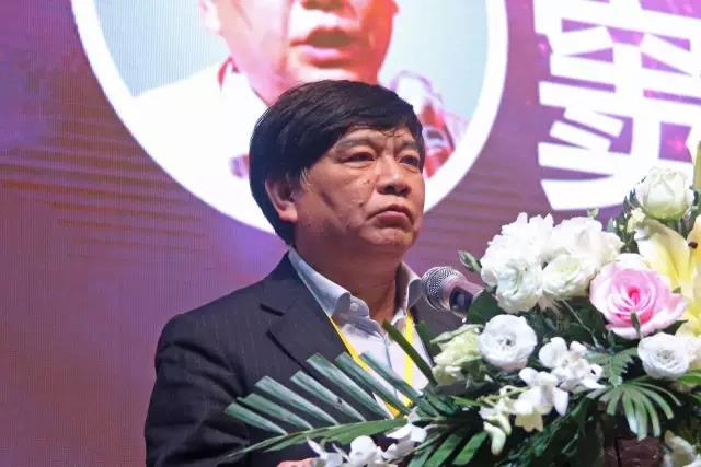 中國(guo)炤(zhao)明學會祕書長竇林平(ping).jpg